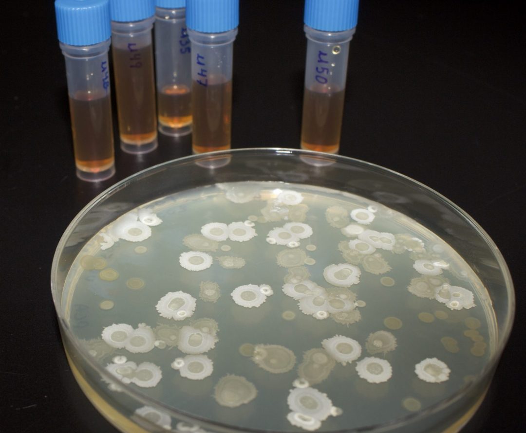 img 8093 scaled e1768505761991