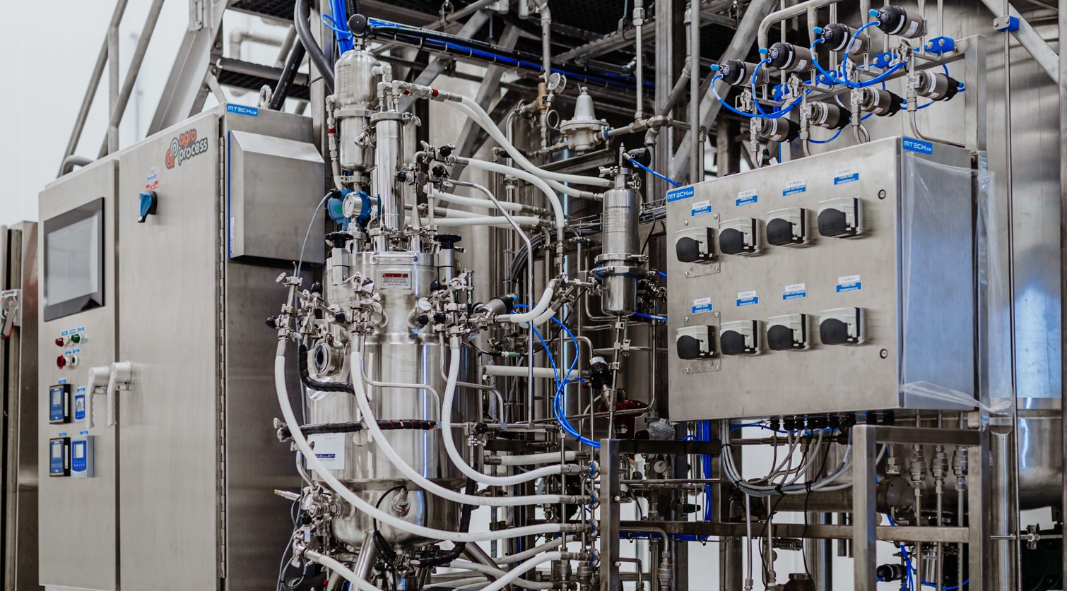 ulysse web img 6946 e1768584958103